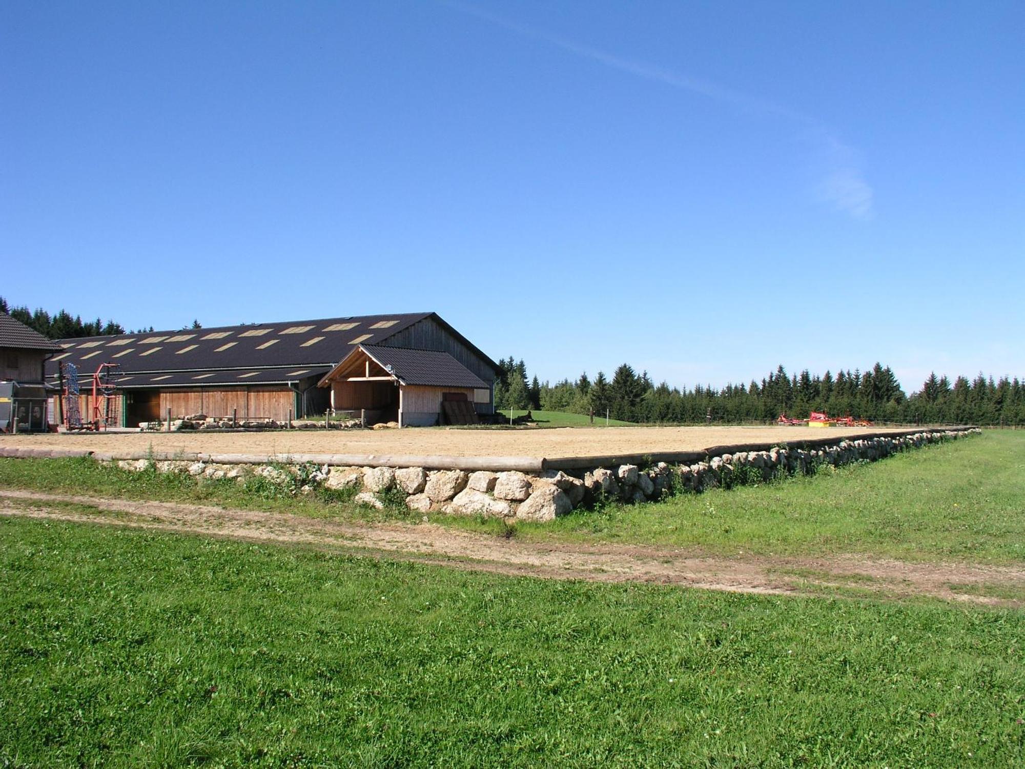 Espi-Stables Ferienhof Esterhammer Liebenau  Exterior foto