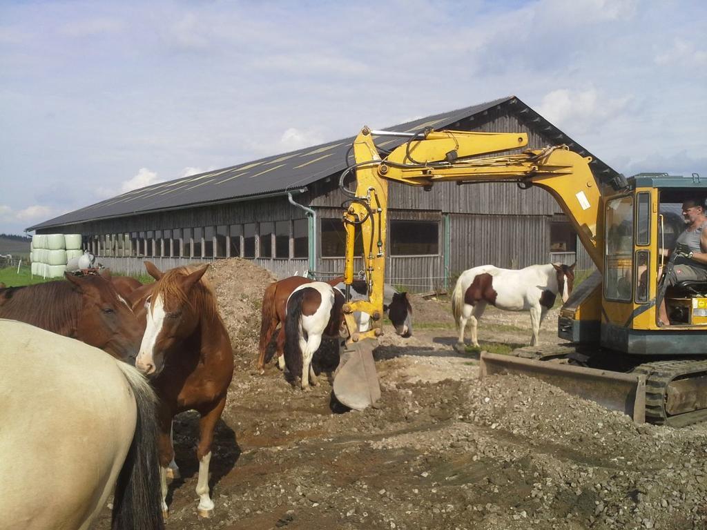 Espi-Stables Ferienhof Esterhammer Liebenau  Exterior foto