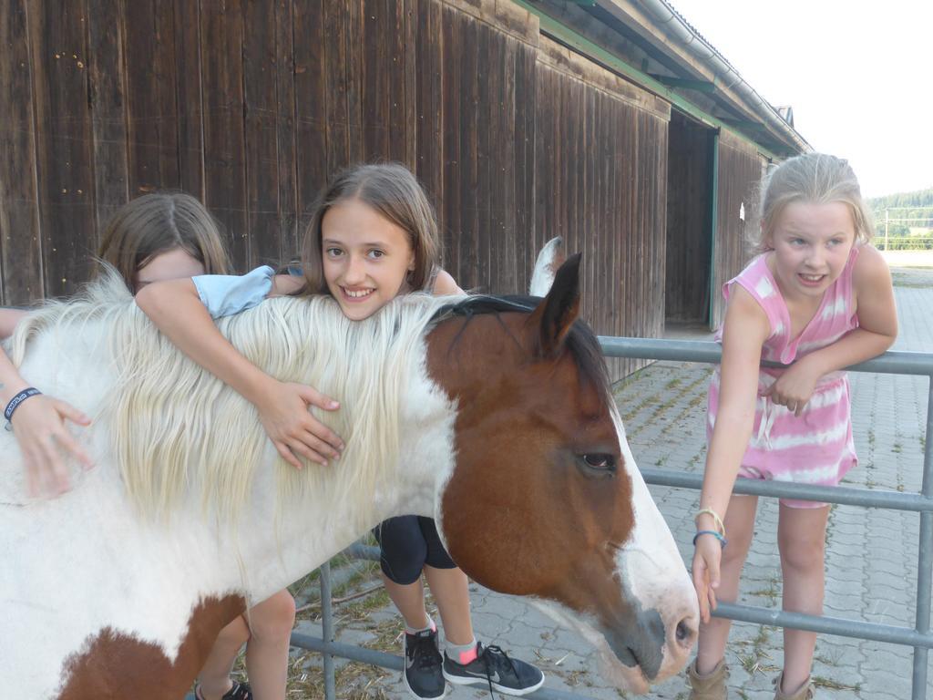 Espi-Stables Ferienhof Esterhammer Liebenau  Exterior foto