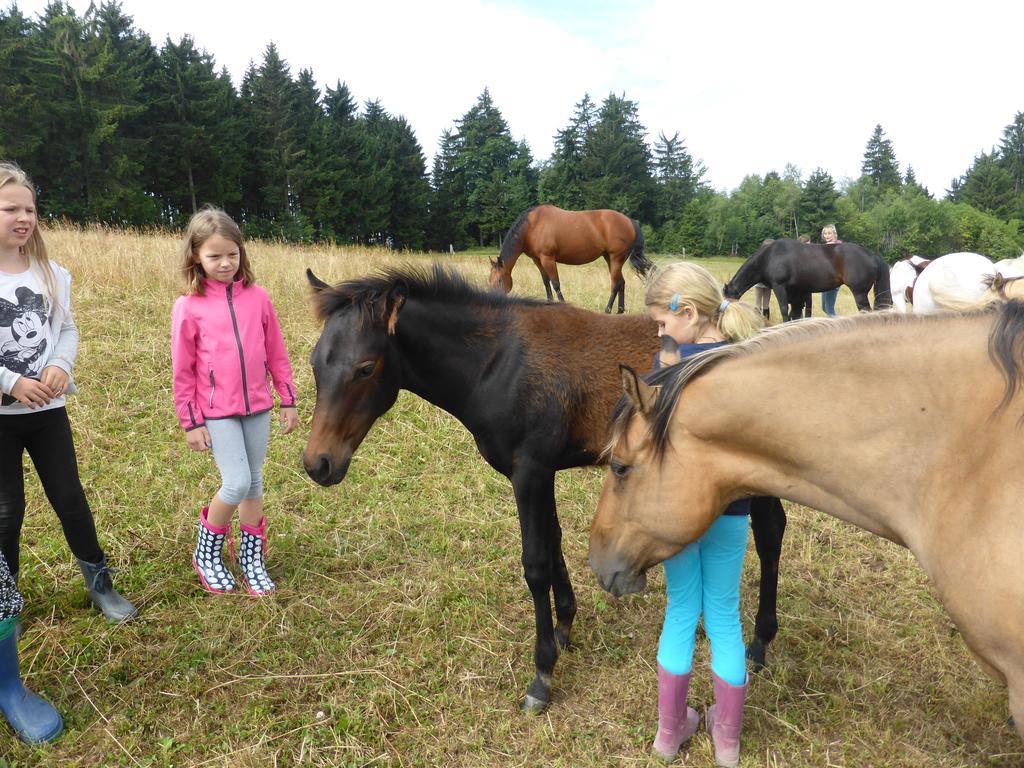 Espi-Stables Ferienhof Esterhammer Liebenau  Habitación foto